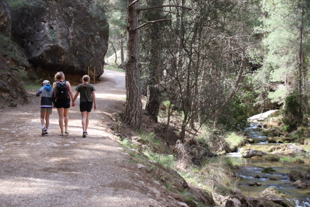 sostenibilidad el geco verde 8 Casa Rural El Paraíso de Brovales