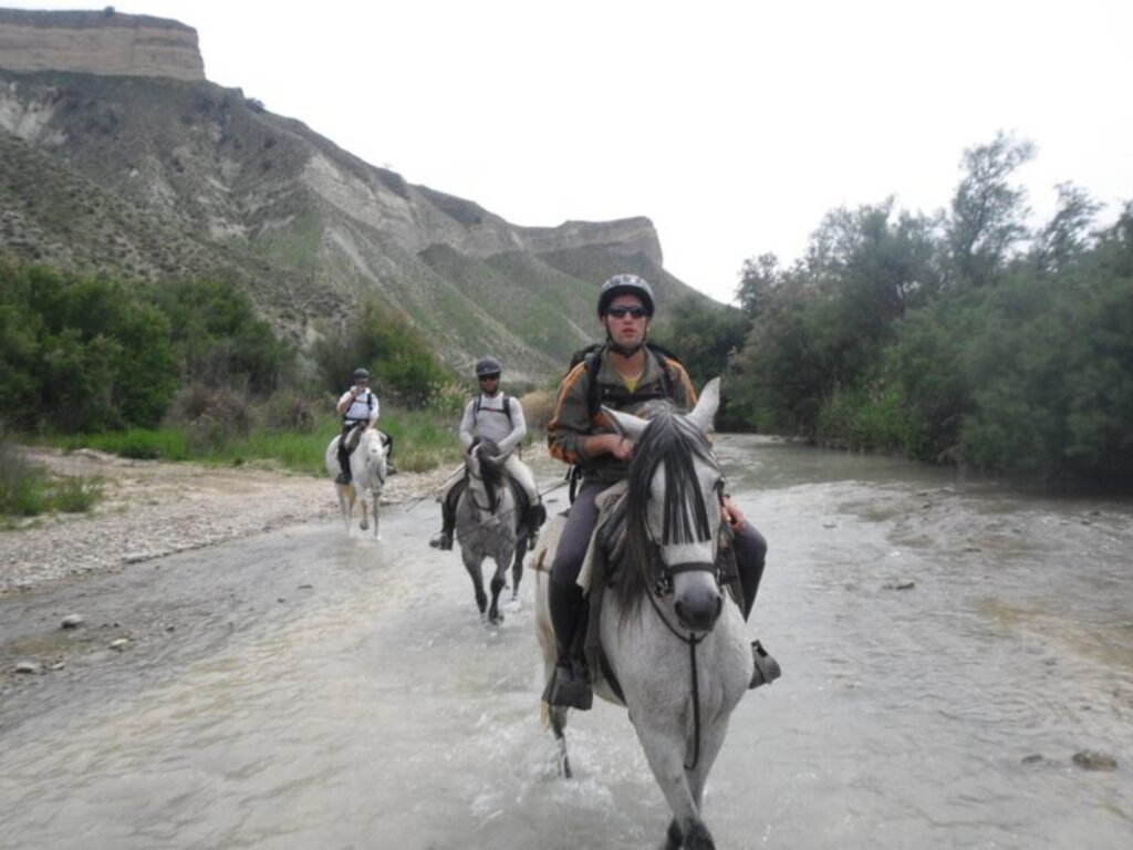 el geco verde paquetes actividades 7 1 Casa Rural El Paraíso de Brovales